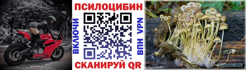 MEGA tor  наркота  Лянтор  Галлюциногенные грибы Magic Shrooms 